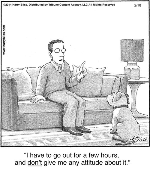 "I have to go out for a few hours, and don't give me any attitude about it."