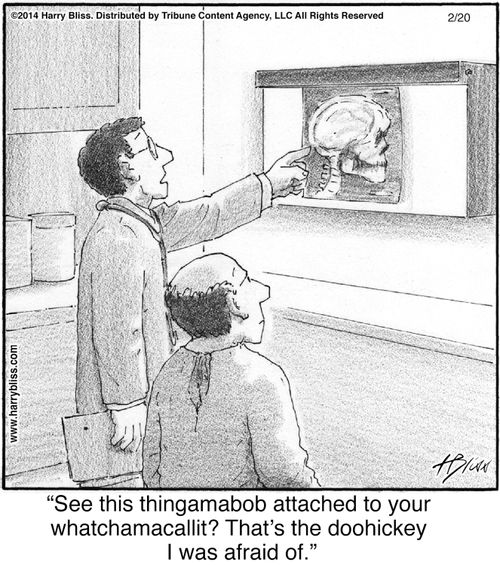 "See this thingamabob attached to your whatchamacallit? That’s the doohickey I was afraid of."
