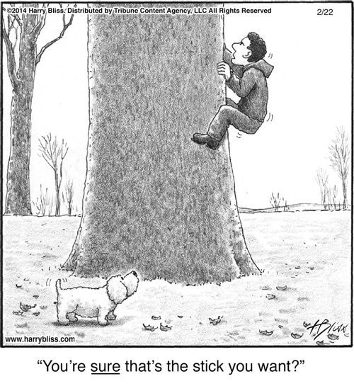 "You're sure that's the stick you want?"