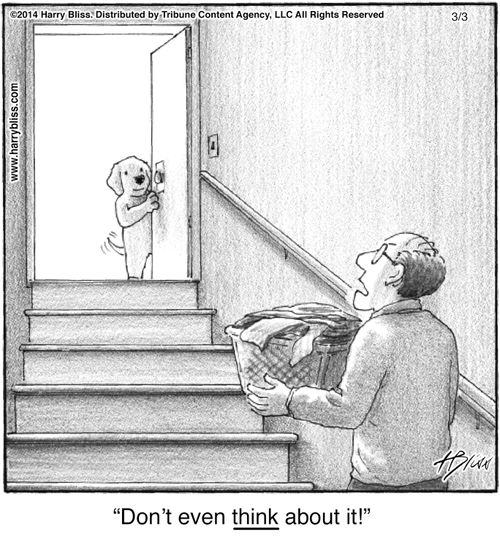 "Don’t even think about it!"