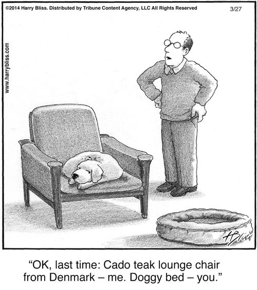 "OK, last time: Cado teak lounge chair from Denmark – me. Doggy bed – you."