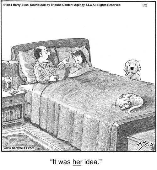 "It was her idea."