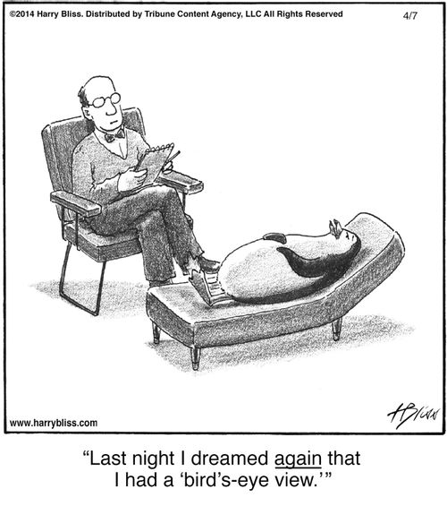 "Last night I dreamed again that I had a 'bird’s-eye view.'"