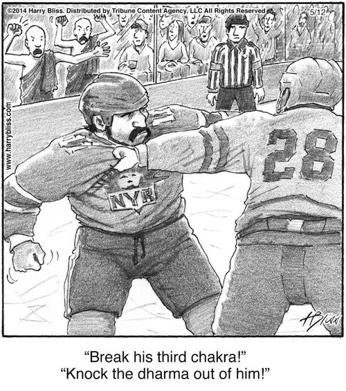 "Break his third chakra!"   "Knock the dharma out of him!"