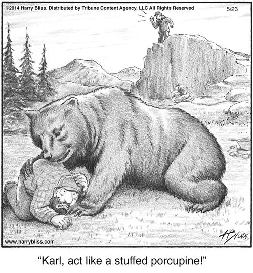 "Karl, act like a stuffed porcupine!"