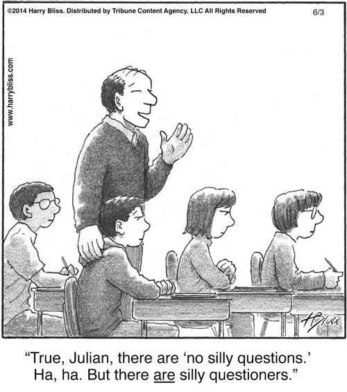 "True, Julian, there are 'no silly questions.' Ha, ha. But there are silly questioners."