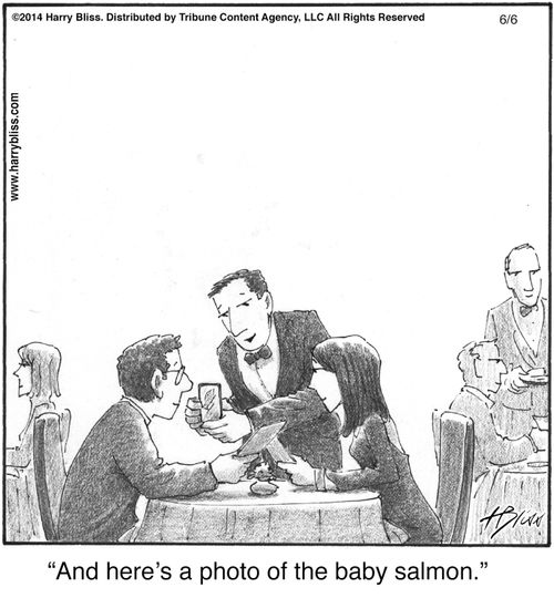"And here's a photo of the baby salmon."