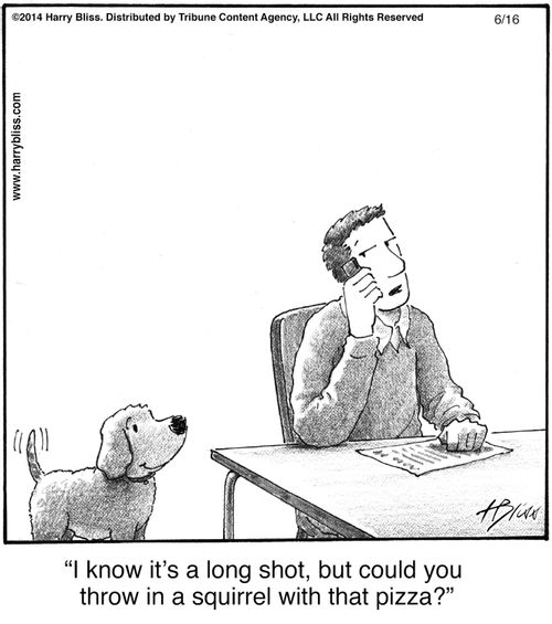 "I know it's a long shot, but could you throw in a squirrel with that pizza?"