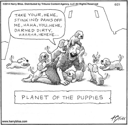 "Planet of the puppies"