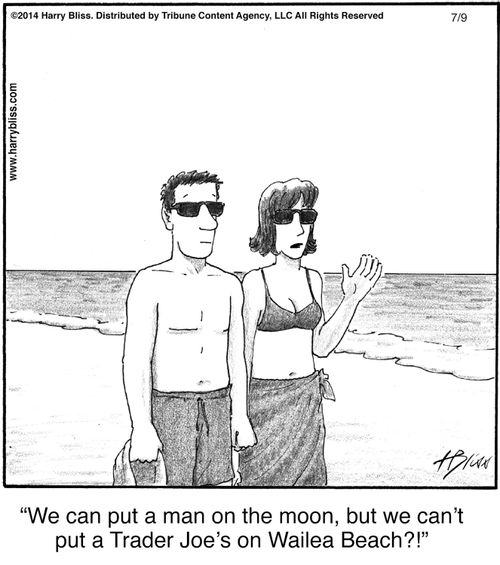 "We can put a man on the moon, but we can't put a Trader Joe's on Wailea Beach?!"