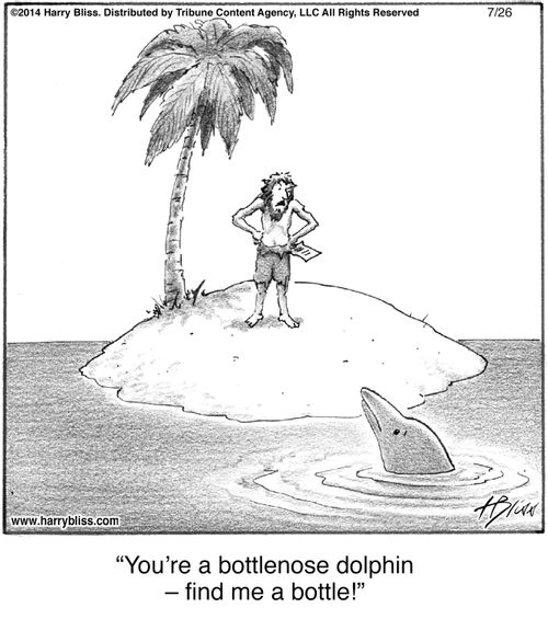 "You're a bottlenose dolphin – find me a bottle!"