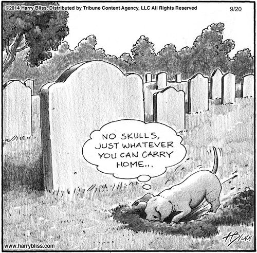 "No skulls, just whatever you can carry home..."
