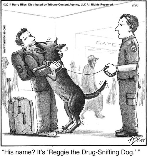 "His name? It's 'Reggie the Drug-Sniffing Dog.'"
