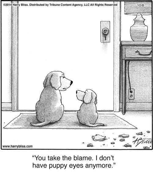 "You take the blame. I don't have puppy eyes anymore."
