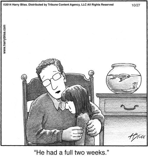 "He had a full two weeks."