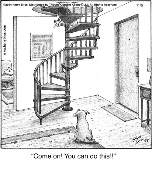 "Come on! You can do this!!"