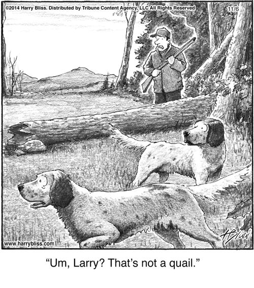 "Um, Larry? That’s not a quail."