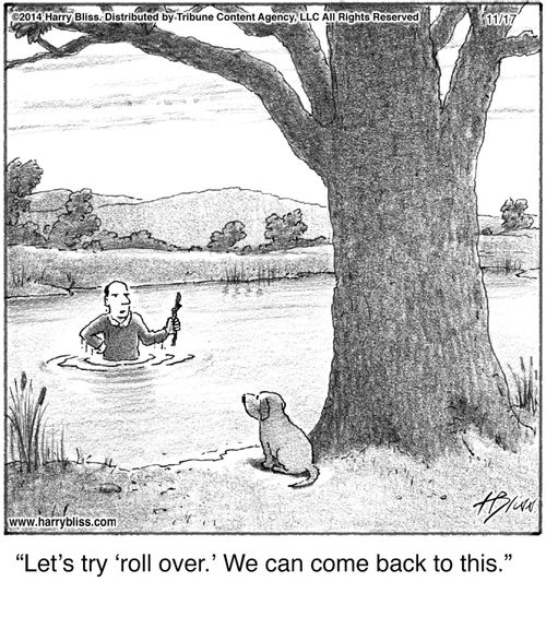 "Let's try 'roll over.' We can come back to this."