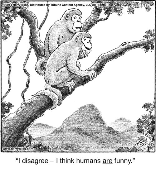 "I disagree — I think humans are funny."