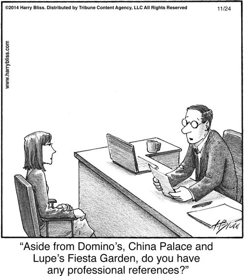 "Aside from Domino’s, China Palace and Lupe’s Fiesta Garden, do you have any professional references?"