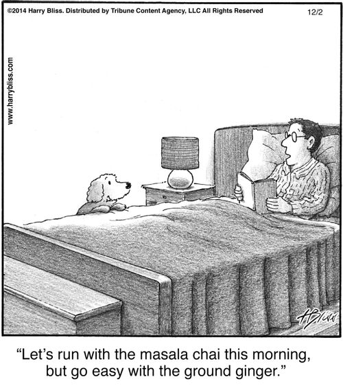“Let’s run with the masala chai this morning, but go easy with the ground ginger.”