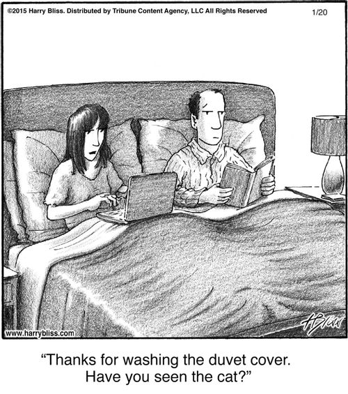 "Thanks for washing the duvet cover. Have you seen the cat?"