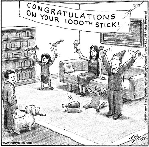 "Congratulations on your 1000th stick!"