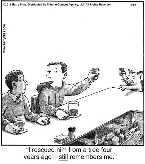 "I rescued him from a tree four years ago — still remembers me."