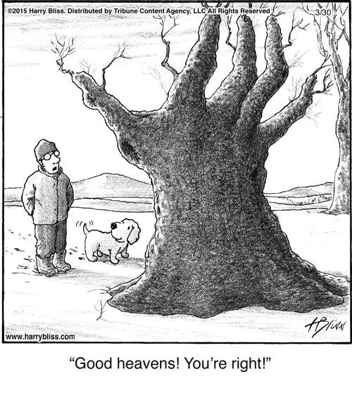"Good heavens! You're right!"