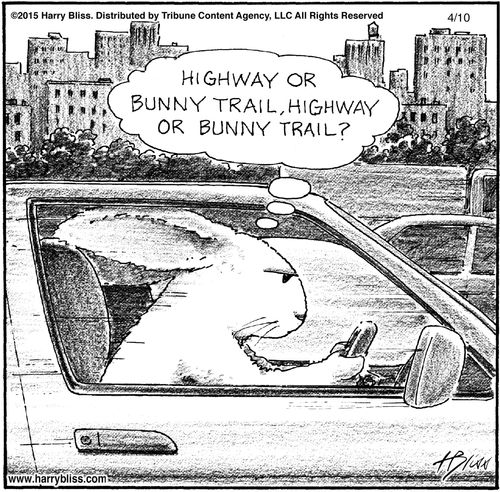 "Highway or bunny trail, highway or bunny trail?"