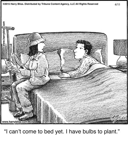 "I can’t come to bed yet. I have bulbs to plant."