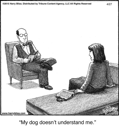 "My dog doesn't understand me."