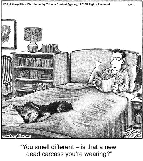 "You smell different – is that a new dead carcass you're wearing?"