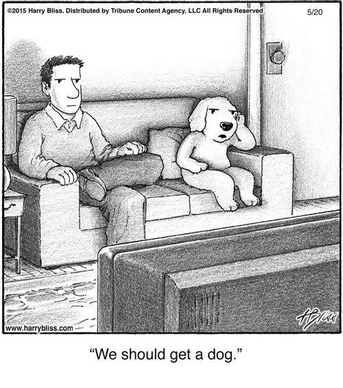 "We should get a dog."