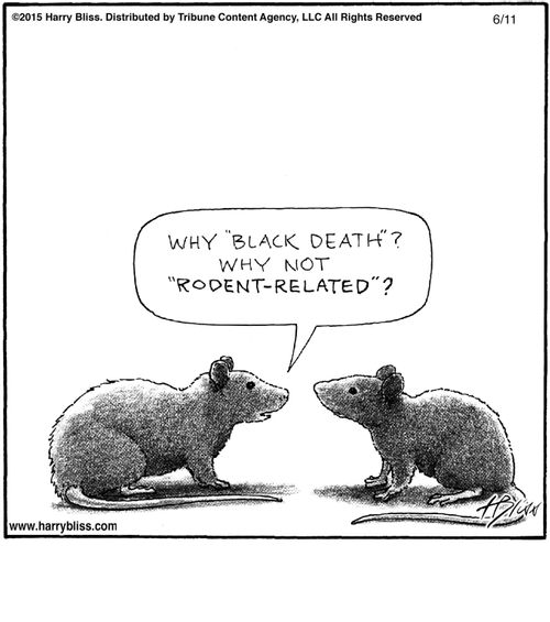 "Why 'Black Death'? Why not 'rodent-related'?"