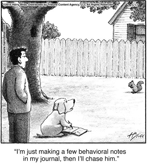 "I'm just making a few behavioral notes in my journal, then I'll chase him."