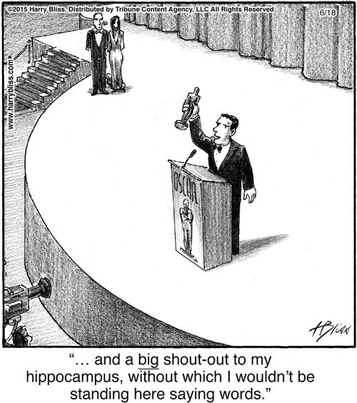 "… and a big shout-out to my hippocampus, without which I wouldn’t be standing here saying words."