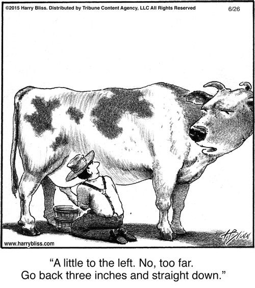"A little to the left. No, too far. Go back three inches and straight down."