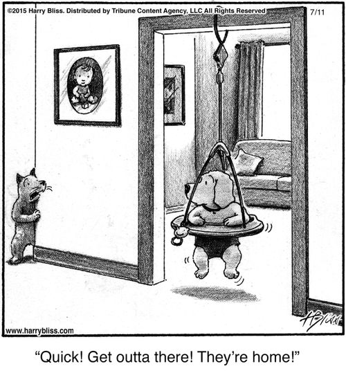 "Quick! Get outta there! They're home!"