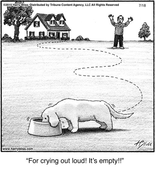 "For crying out loud! It’s empty!!"