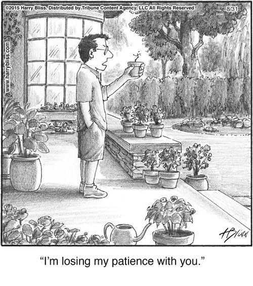 "I'm losing my patience with you."