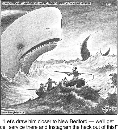 "Let’s draw him closer to New Bedford — we’ll get cell service there and Instagram the heck out of this!"