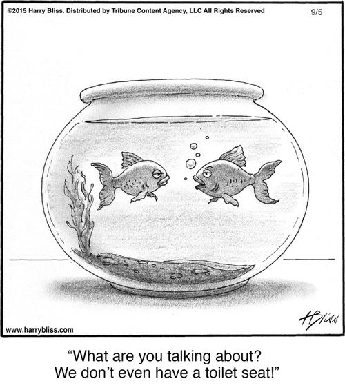 "What are you talking about? We don’t even have a toilet seat!"