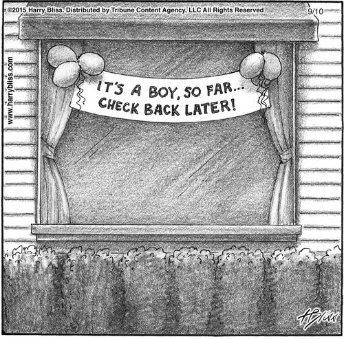 "It's a boy, so far... check back later!"