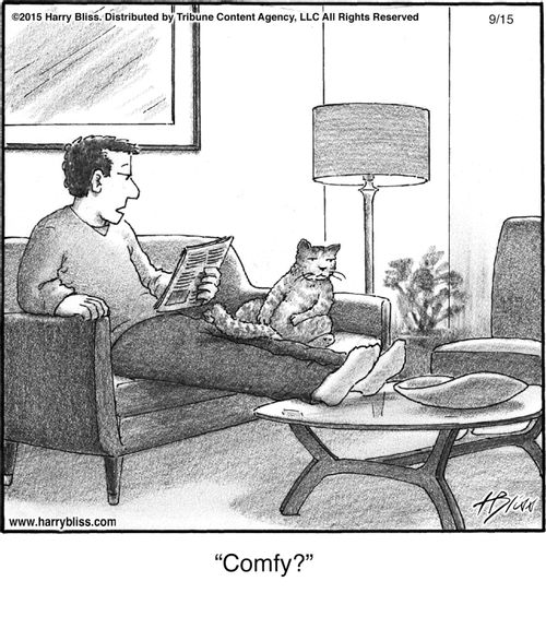 "Comfy?"