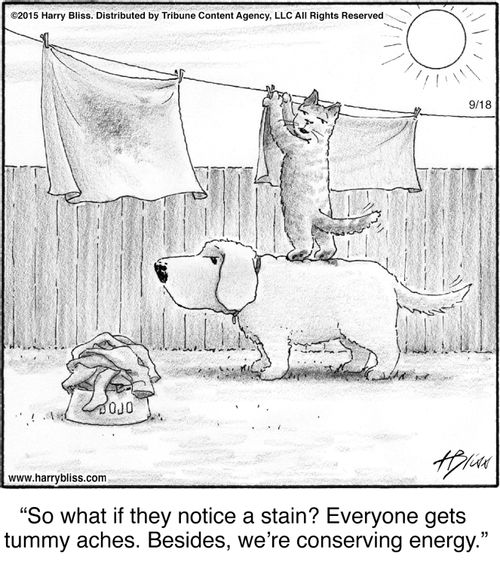 "So what if they notice a stain? Everyone gets tummy aches. Besides, we’re conserving energy."