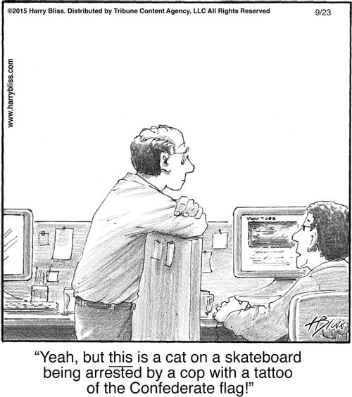 "Yeah, but this is a cat on a skateboard being arrested by a cop with a tattoo of the Confederate flag!"