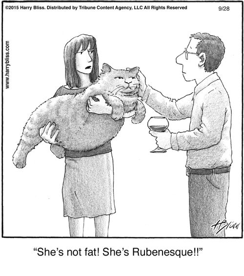 "She's not fat! She's Rubenesque!!"