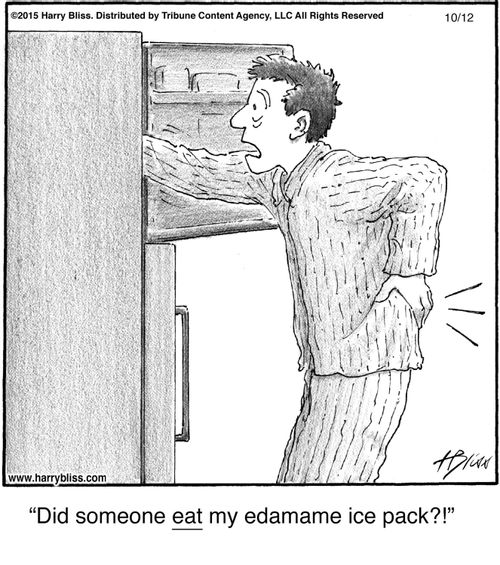 "Did someone eat my edamame ice pack?!"