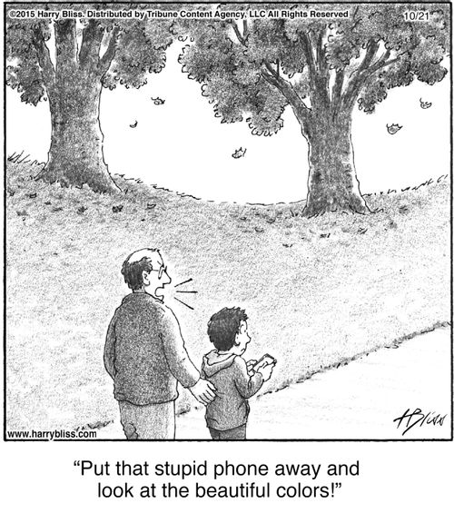 "Put that stupid phone away and look at the beautiful colors!"